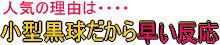 �M���Ǐ����w�����j�^�[MJ-WBGT
