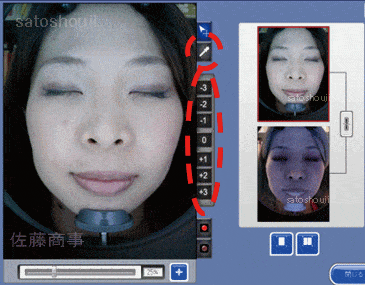 ウッドランプ肌解析機